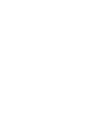 TenguSec